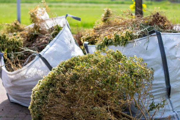 Best Demolition Debris Removal  in Aberdeen, MS